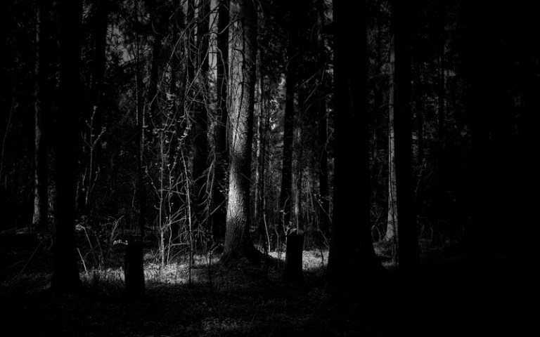 dark forest, finns, norse